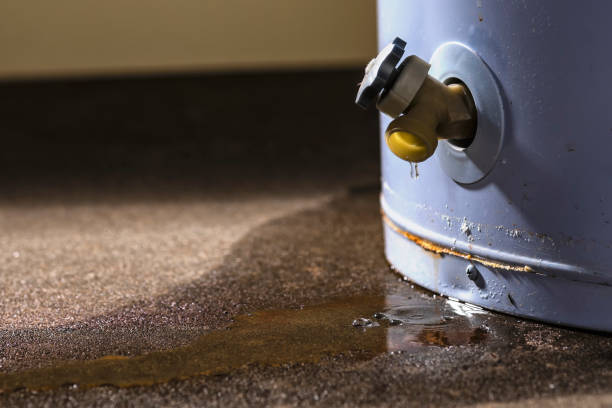 Professional Water damage restoration in IN