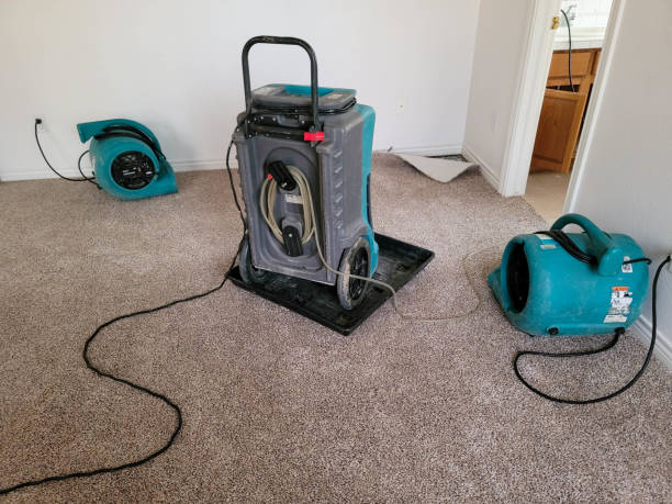 Water damage restoration experts in IN
