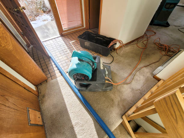 Best 24-hour water damage restoration  in Greendale, IN