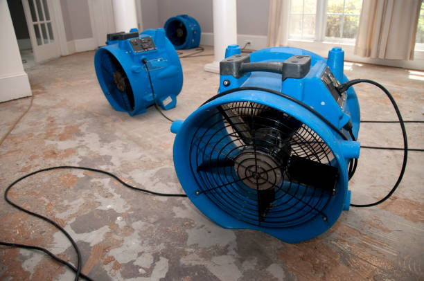 Best Flood restoration services  in Greendale, IN