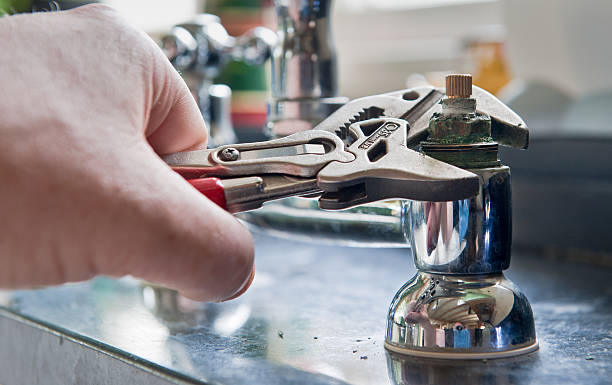 Best Flooded house restoration  in Greendale, IN