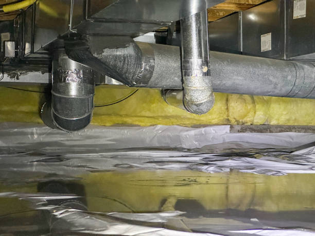 Best Sewage cleanup and water damage restoration  in Greendale, IN